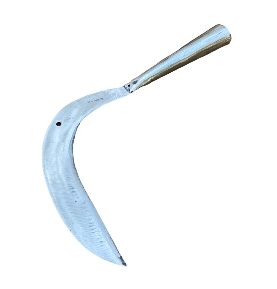 Arit Rumput Gagang Besi