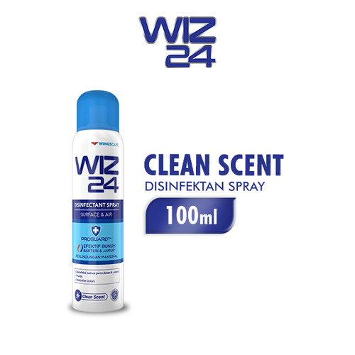 WIZ24 DISINFECTANT AE CLEAN Scent 100ML (1box 24pcs)