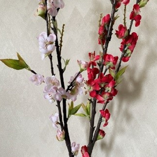 Bunga Sakura Artificial T:110 Cm, Dia:1-3Cm 1 Tangkai 2 Cabang - Putih