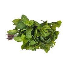 Fresh Mint Leaf