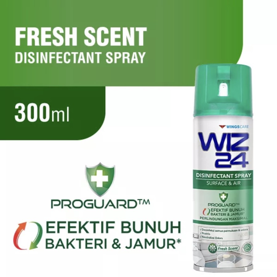 WIZ24 DISINFECTANT AE FRESH Scent 300ML (1box 12pcs)